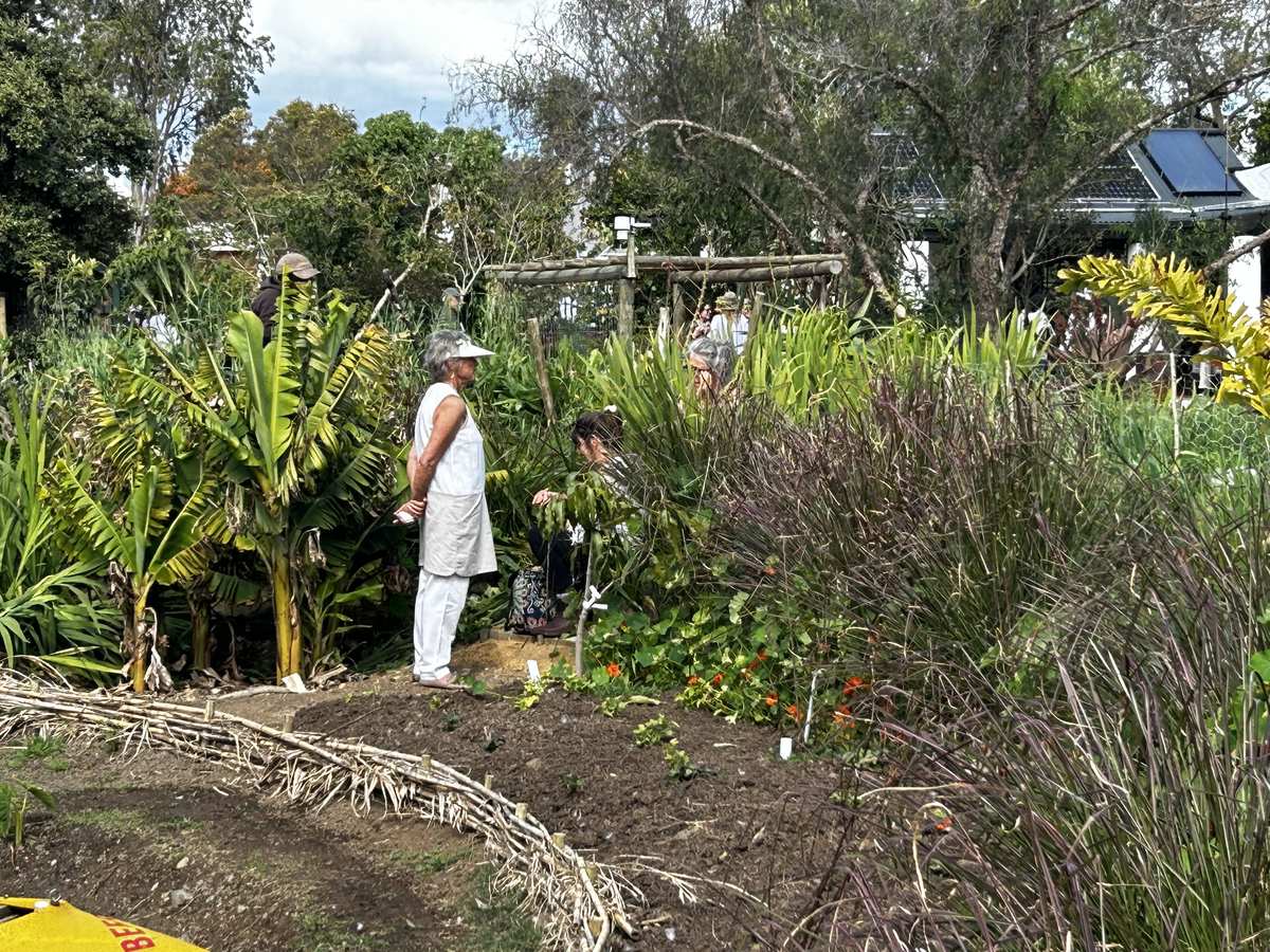 A guide and visitors on a garden walk among banana plants, tall purple-tinged grasses, a woven wattle fence and a wooden pergola